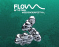 FLOW IN THE PARK 02-08 | SUNDAY ACCESS PASS